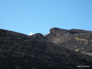 nte Pizzillo-21-10-2012 09-03-55